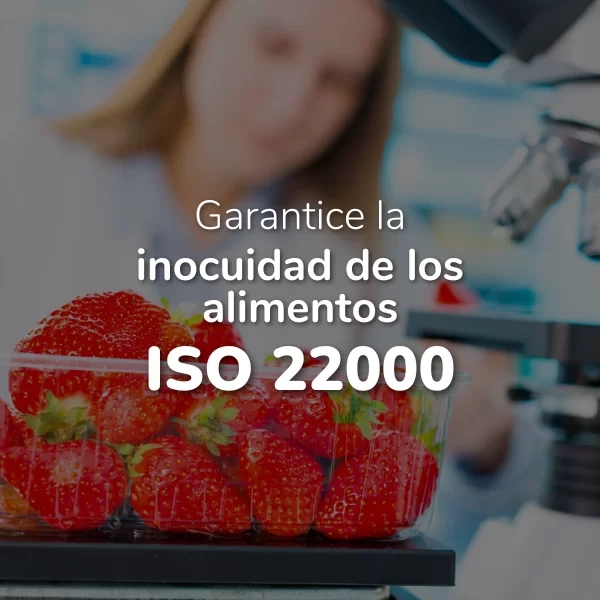 Auditoría ISO 22000