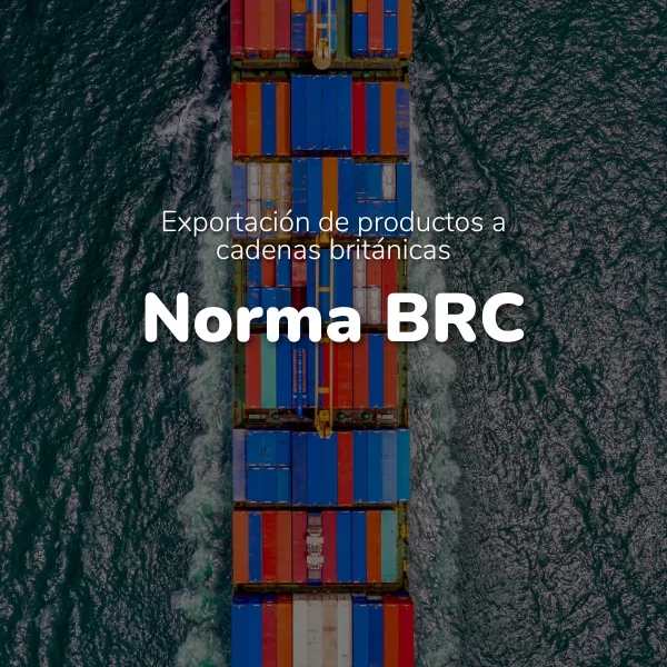 Auditoría Norma BRC