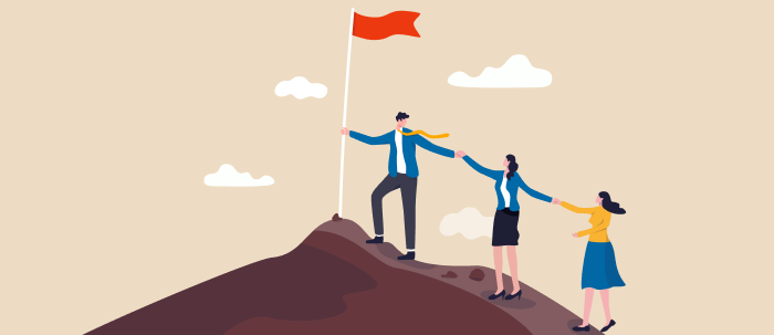 Inspección y Auditoría